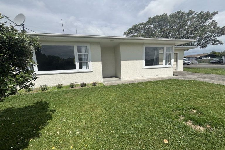 Photo of property in 55 Windsor Street, Terrace End, Palmerston North, 4410