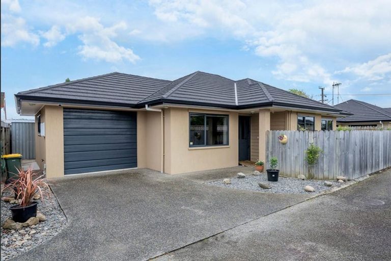 Photo of property in 166a Winchester Street, Levin, 5510