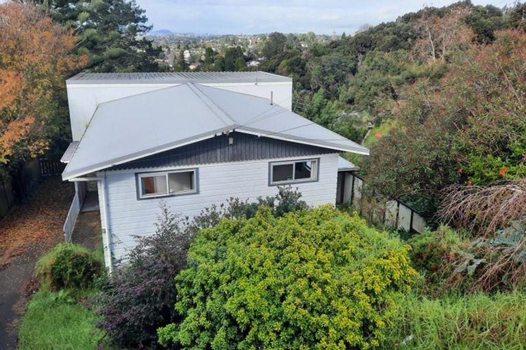 Photo of property in 51 Sunset Road, Totara Vale, Auckland, 0632