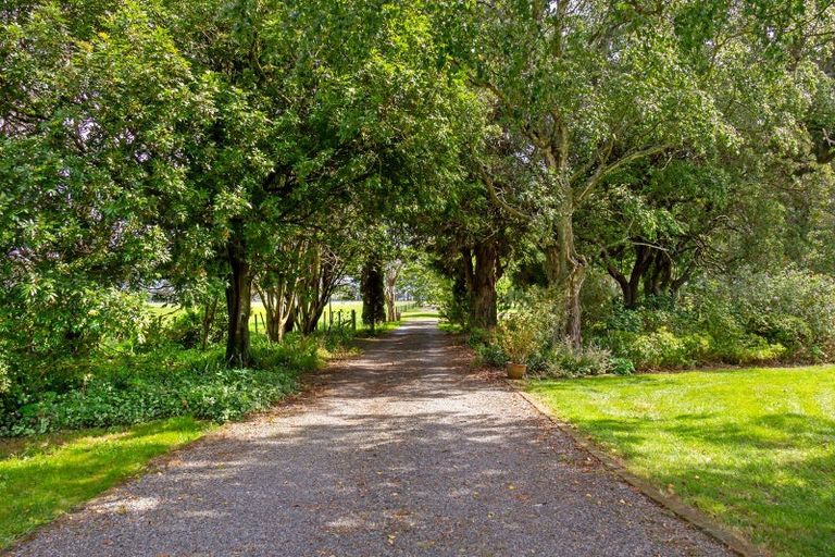 Photo of property in 119 Te Whiti Sett Road, Te Whiti, Masterton, 5884