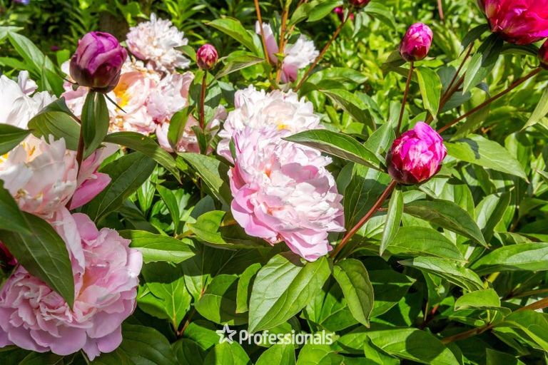 Photo of property in 22a Oxford Crescent, Ebdentown, Upper Hutt, 5018