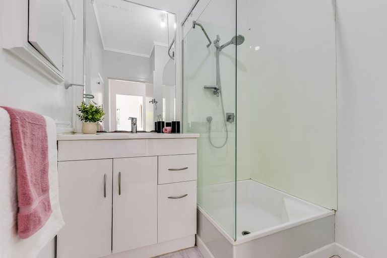 Photo of property in 101 Willis Road, Ngahinapouri, Hamilton, 3290