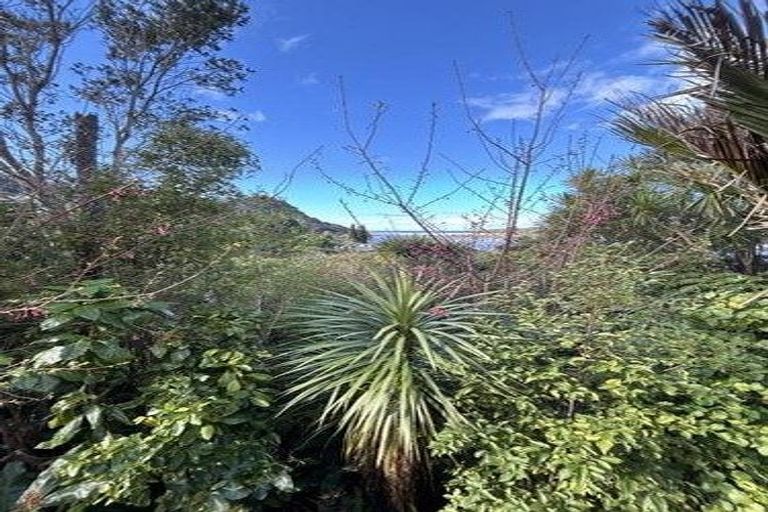 Photo of property in 7 Wharekawa Place, Opoutere, Whangamata, 3691