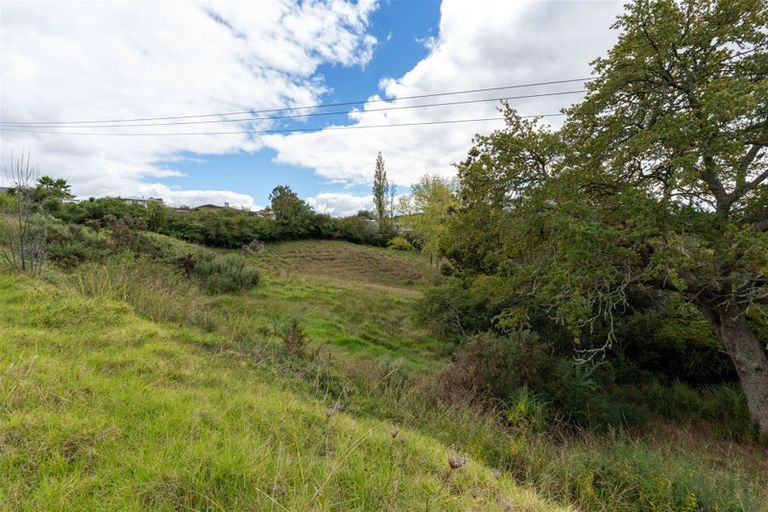 Photo of property in 127 Paihia Road, Kawakawa, 0210