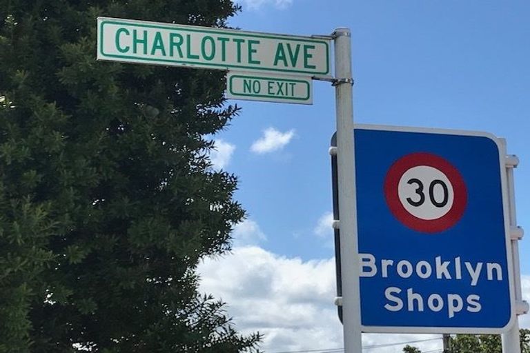 Photo of property in 19 Charlotte Avenue, Brooklyn, Wellington, 6021