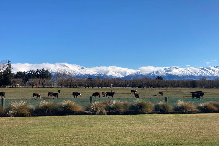 Photo of property in 28 Ayr Street, Fairlie, 7925