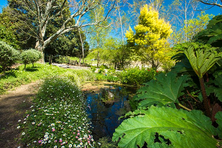 Photo of property in 622 Lavenham Road, Waituhi, Gisborne, 4072