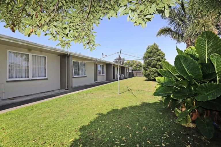 Photo of property in 307 Lyndon Road West, Hastings, 4122