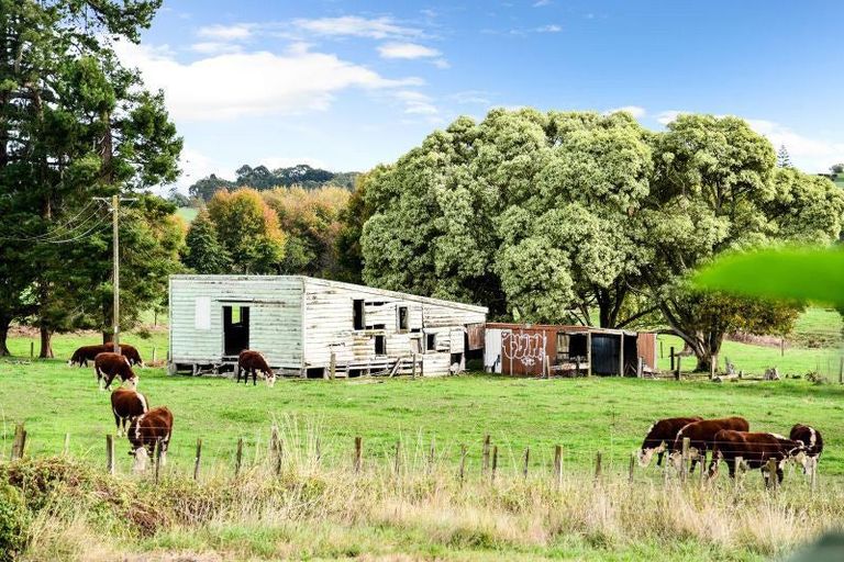 Photo of property in 24 Palm Grove Drive, Western Heights, Hamilton, 3200