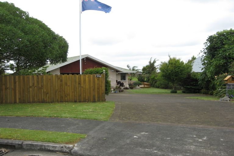 Photo of property in 9 Jackson Place, Pukekohe, 2120