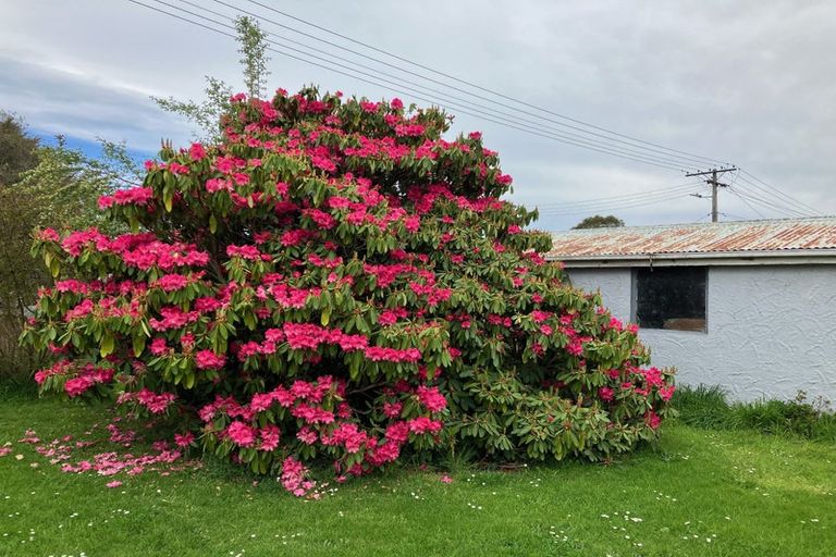 Photo of property in 24 Johnson Street, Milton, 9220