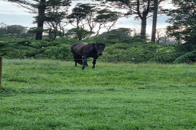 Photo of property in 1225 Frankley Road, Hurworth, New Plymouth, 4371