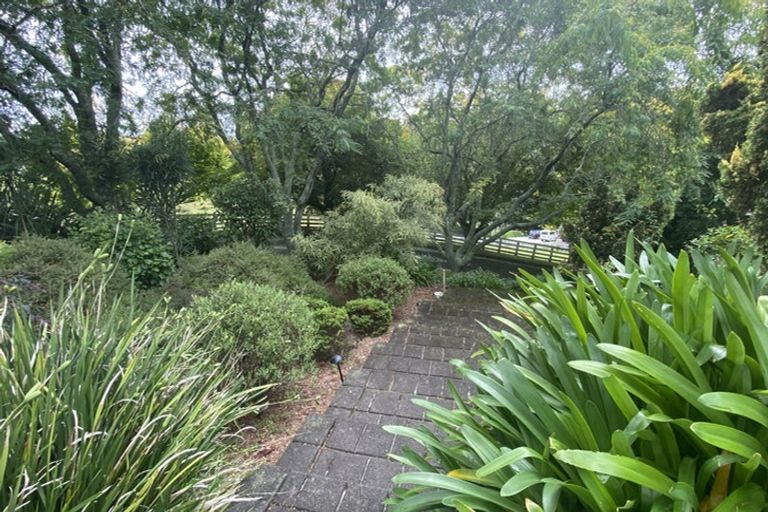 Photo of property in 111 Hastings Road, Pyes Pa, Tauranga, 3112