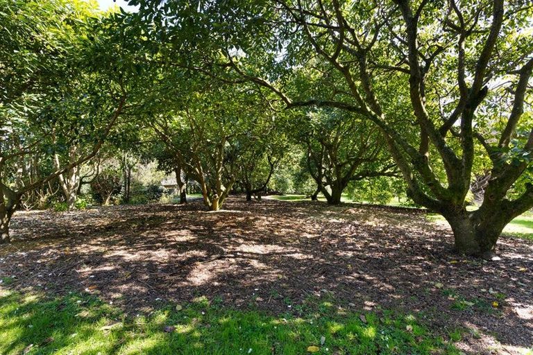 Photo of property in 356 Belk Road, Omanawa, Tauranga, 3171