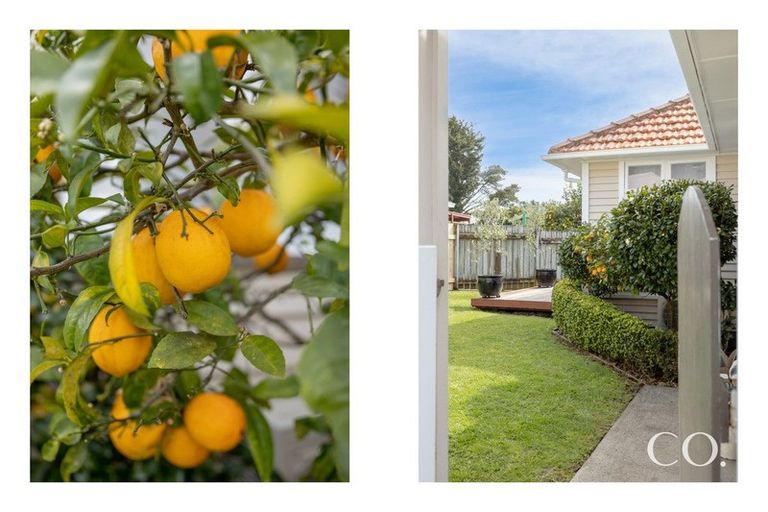 Photo of property in 25b Pine Avenue, Otumoetai, Tauranga, 3110