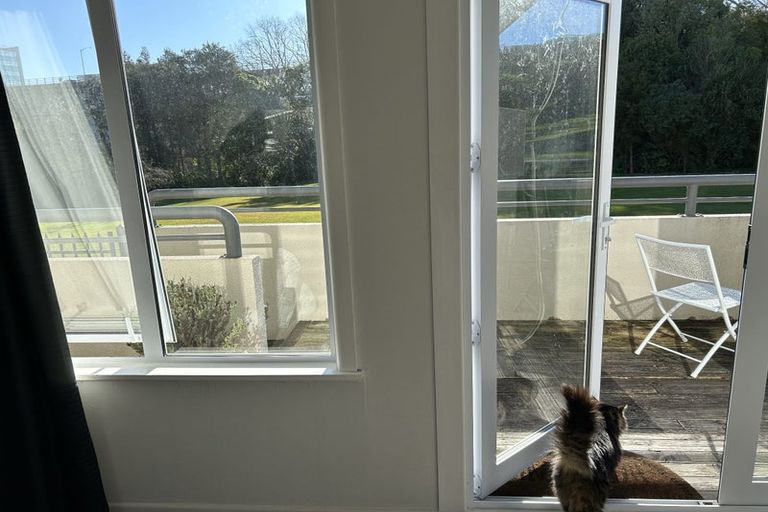 Photo of property in 31au1 Opoia Road, Hamilton East, Hamilton, 3216