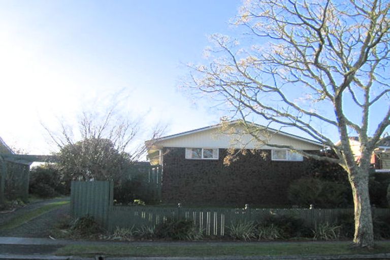 Photo of property in 3 Egmont Street, Chartwell, Hamilton, 3210