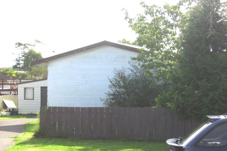 Photo of property in 33 Hinerau Street, Henderson, Auckland, 0612