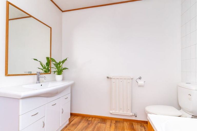 Photo of property in 21 Dryden Street, Milton, 9220