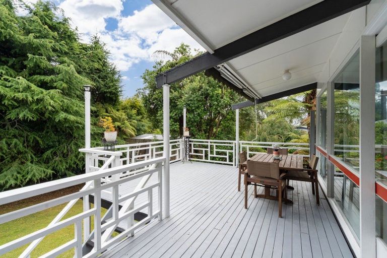 Photo of property in 255 Cambridge Street, Levin, 5510