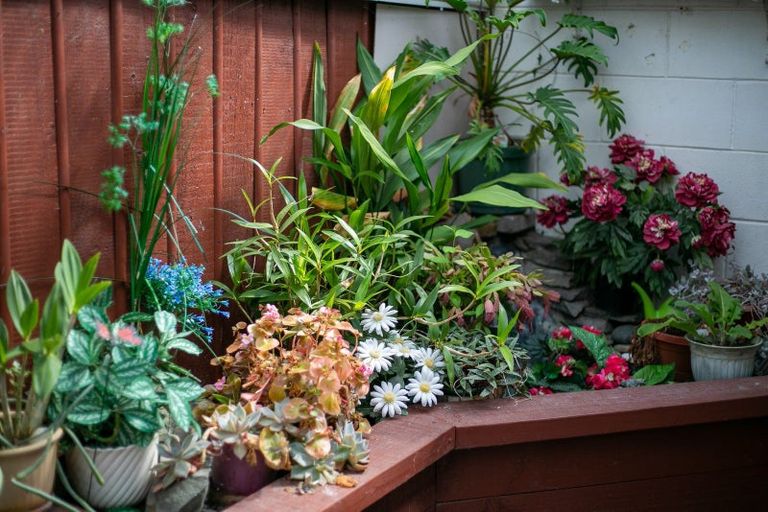 Photo of property in 32a Campbell Street, Leamington, Cambridge, 3432