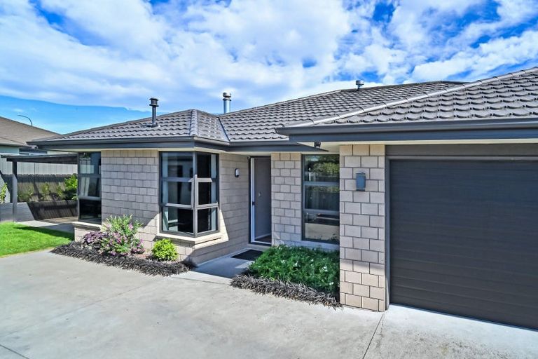 Photo of property in 12 Begley Place, Frimley, Hastings, 4120