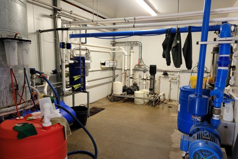 Photo of property in 55 Smiths Road, Matua, Tauranga, 3110