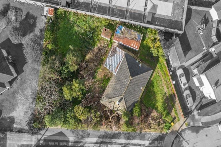 Photo of property in 17 Mahoe Street, Levin, 5510