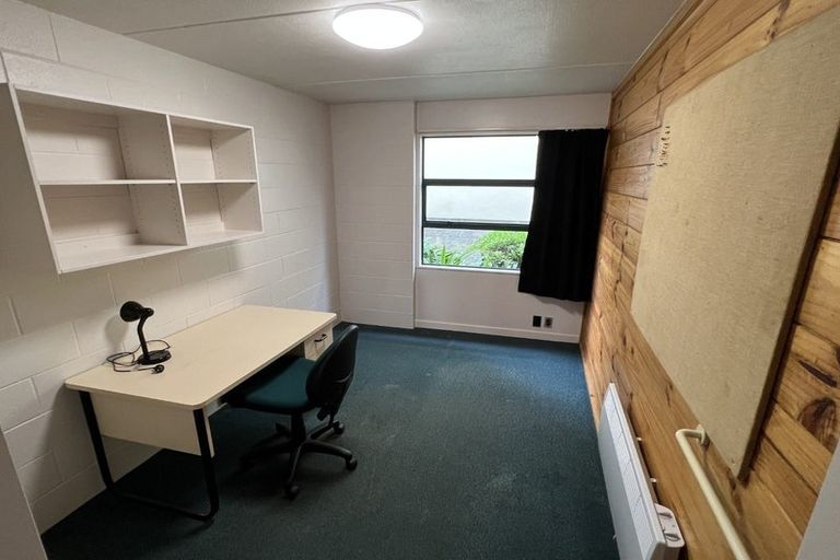 Photo of property in Te Awhina Apartments, 19/22 Sussex Street, Mount Cook, Wellington, 6021