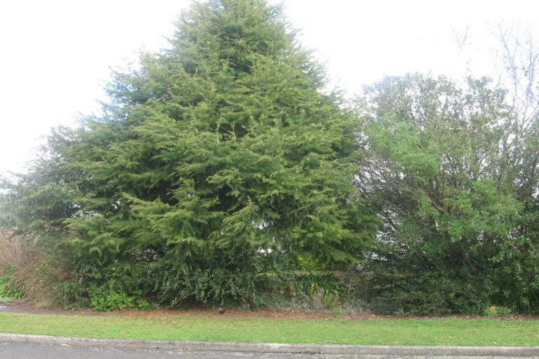 Photo of property in 75 William Jones Drive, Otangarei, Whangarei, 0112