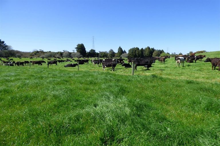 Photo of property in 336 Grove Road, Te Pahu, Hamilton, 3285