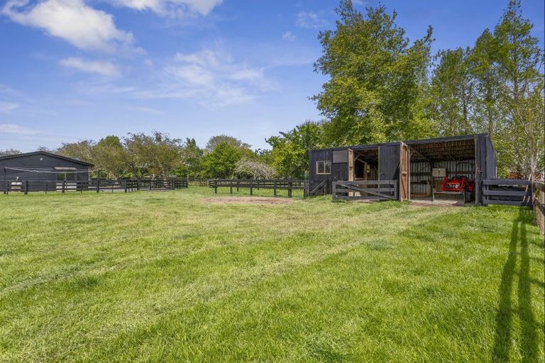 Photo of property in 43 Forrest Road, Cambridge, 3493