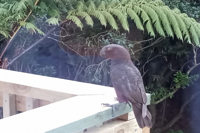 Photo of property in 88 Cecil Road, Wadestown, Wellington, 6012