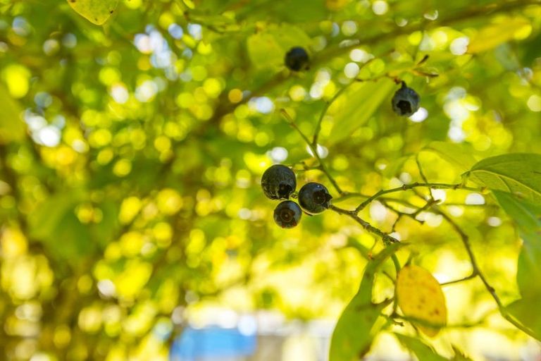 Photo of property in 182 Karapoti Road, Craigs Flat, Upper Hutt, 5372