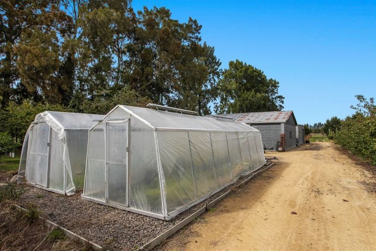 Photo of property in 17 Mccutchan Road, Otakiri, Whakatane, 3193