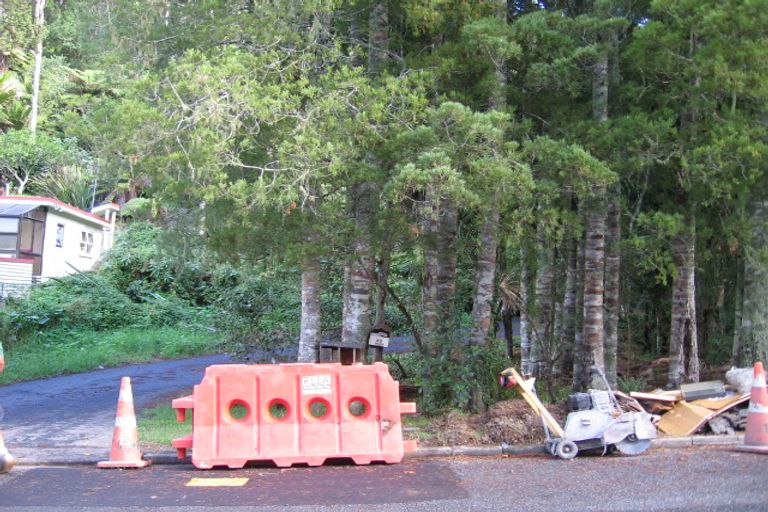 Photo of property in 45 Sylvan Valley Avenue, Titirangi, Auckland, 0604