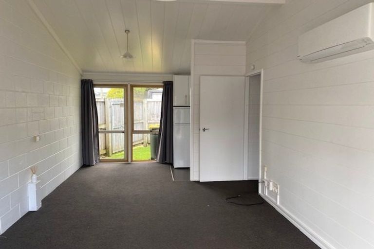 Photo of property in 13 Albert Street, Hamilton East, Hamilton, 3216