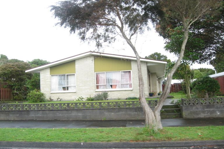 Photo of property in 33 Mace Street, Waitara, 4320