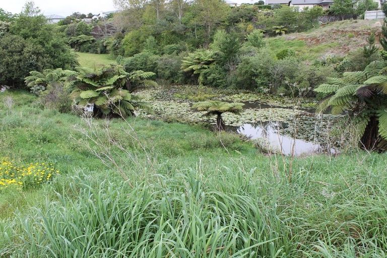 Photo of property in 6 Ponga Place, Highlands Park, New Plymouth, 4312