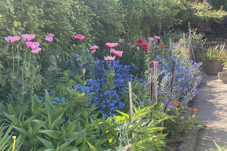 Photo of property in 93a Kuratawhiti Street, Greytown, 5794