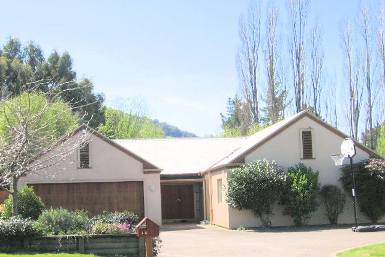 Photo of property in 12 Caulfield Place, Pukehangi, Rotorua, 3015