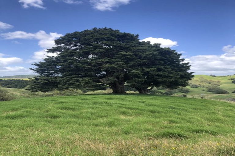 Photo of property in 725 Golden Stairs Road, Mareretu, Maungaturoto, 0589