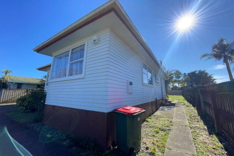 Photo of property in 58 Universal Drive, Henderson, Auckland, 0610