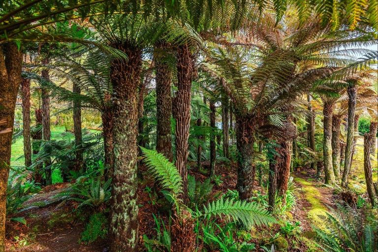 Photo of property in 137 Otapouri Road, Owhango, 3989