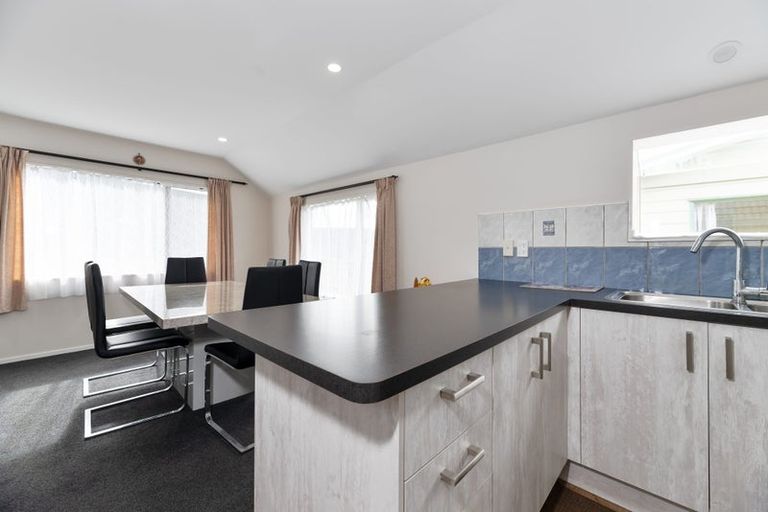 Photo of property in 55a Marion Avenue, Mount Roskill, Auckland, 1041