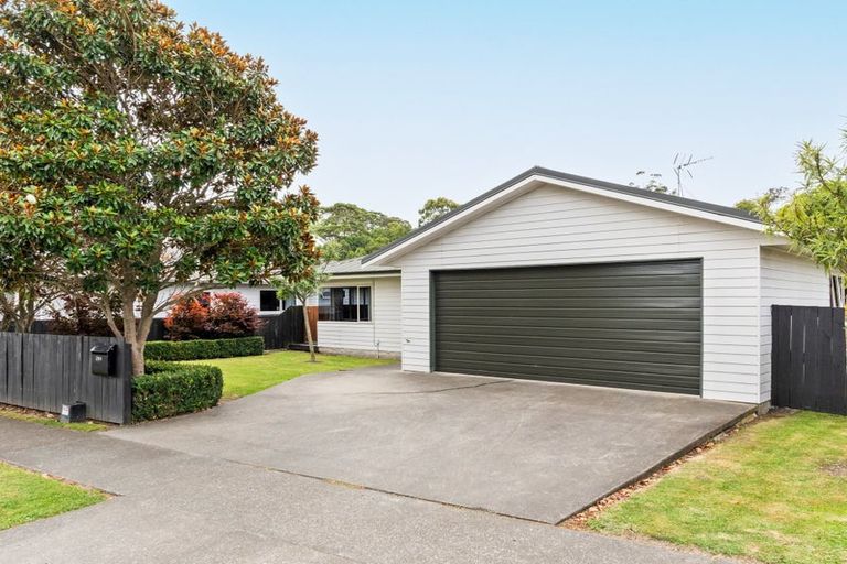 Photo of property in 291 Ormond Road, Mangapapa, Gisborne, 4010