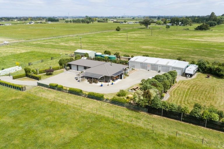 Photo of property in 271 Reid Line East, Aorangi, Feilding, 4775