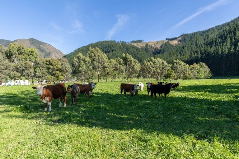 Photo of property in 208 Mount Riley Road, Okaramio, Havelock, 7178