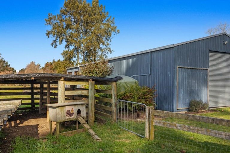 Photo of property in 19 Hogg Road, Rotoma, Whakatane, 3192