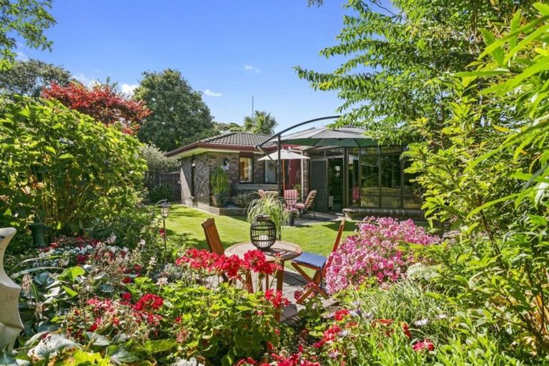 Photo of property in 164a Victoria Street, Cambridge, 3434